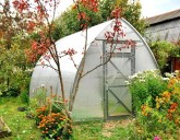 ОСЕННЯЯ ОБРАБОТКА ТЕПЛИЦЫ