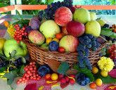 БОЛЬШОЙ АССОРТИМЕНТ ПЛОДОВЫХ ДЕРЕВЬЕВ И КУСТАРНИКОВ!