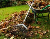 Апрель - время самой большой уборки в саду!