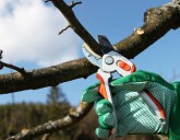 Март самая пора.