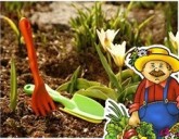 Когда сеять зелень, подкармливать растения по лунному календарю в апреле