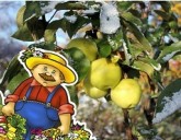 Советы огородникам. Октябрь