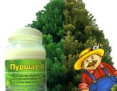 «Пуршат-О» - средство для защиты хвойных и декоративных растений от СОЛНЕЧНЫХ ОЖОГОВ.