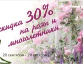 Скидка 30% на РОЗЫ и МНОГОЛЕТНИЕ растения!
