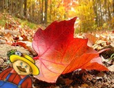 Листья, как удобрение