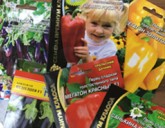 ВЫБОР СЕМЯН ОВОЩНЫХ КУЛЬТУР