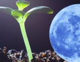 Удачный ЛУННО-ПОСЕВНОЙ календарь на МАРТ 2020 года