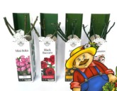 СОХРАНИМ САЖЕНЦЫ ДО ПОСАДКИ В ГРУНТ.