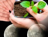 Удачный ЛУННЫЙ ПОСЕВНОЙ календарь на АПРЕЛЬ 2020 года