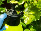 Весенняя обработка садовых культур от насекомых и болезней