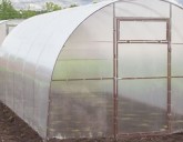 Как правильно подготовить теплицу из поликарбоната к весенним посадкам?