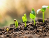 Удачный ЛУННЫЙ ПОСЕВНОЙ календарь на МАЙ 2020 года