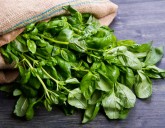 Пряные травы на огороде. Как правильно выбрать что посадить? 