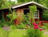 Эффективные средства для обработки участка от клещей