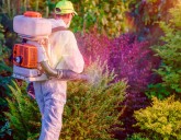 ОБРАБОТКА УЧАСТКА ОТ КОМАРОВ