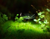 Удачный ЛУННЫЙ ПОСЕВНОЙ календарь на ИЮНЬ 2020 года