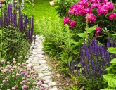 НЕПРИХОТЛИВЫЕ МНОГОЛЕТНИКИ ДЛЯ САДА