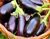 6 СЕКРЕТОВ К ВЫСОКОМУ УРОЖАЮ БАКЛАЖАНОВ