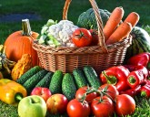 АГРОТЕХНИКА - СЕКРЕТ ВЫСОКОГО УРОЖАЯ