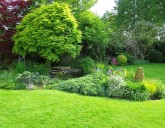 САЖАЕМ ГАЗОН В СЕНТЯБРЕ