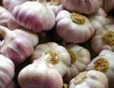 КАК ПОСАДИТЬ ОЗИМЫЙ ЧЕСНОК?