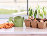 УДАЧНЫЙ ЛУННЫЙ ПОСЕВНОЙ КАЛЕНДАРЬ НА ЯНВАРЬ 2024 ГОДА