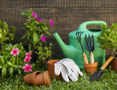 Удачный ЛУННЫЙ ПОСЕВНОЙ КАЛЕНДАРЬ на МАЙ 2025 года