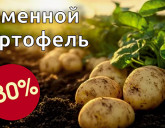 КАРТОФЕЛЬ СЕМЕННОЙ СО СКИДКОЙ 30%!