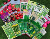 НОВОЕ ПОСТУПЛЕНИЕ СЕМЯН