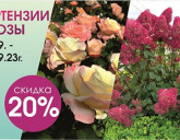 АКЦИЯ В НАШИХ САДОВЫХ ЦЕНТРАХ с 15 по 17 сентября!