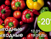 ВЫГОДНЫЕ ВЫХОДНЫЕ 17 - 19 ЯНВАРЯ!