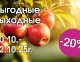 ВЫГОДНЫЕ ВЫХОДНЫЕ 10 - 12 ОКТЯБРЯ В НАШИХ САДОВЫХ ЦЕНТРАХ!
