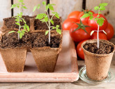 Удачный ЛУННЫЙ ПОСЕВНОЙ календарь на МАРТ 2024 года