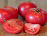 Какие бывают томаты? Классификация