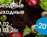ВЫГОДНЫЕ ВЫХОДНЫЕ С 27 ФЕВРАЛЯ ПО 1 МАРТА!