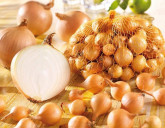 ЛУК-СЕВОК: высокие показатели лёжкости!