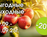 ВЫГОДНЫЕ ВЫХОДНЫЕ 19 - 21 СЕНТЯБРЯ В НАШИХ САДОВЫХ ЦЕНТРАХ!