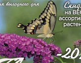 ПЯТНИЦА, СУББОТА и ВОСКРЕСЕНЬЕ СКИДКА 20% на ВЕСЬ АССОРТИМЕНТ РАСТЕНИЙ!