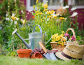 Удачный ЛУННЫЙ ПОСЕВНОЙ КАЛЕНДАРЬ на ИЮНЬ 2023 года