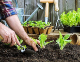 Удачный ЛУННЫЙ ПОСЕВНОЙ календарь на АПРЕЛЬ 2025 года