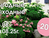 ВЫХОДНЫЕ ВЫГОДНЫЕ 15 - 17 АВГУСТА В НАШИХ САДОВЫХ ЦЕНТРАХ!