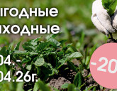 ВЫГОДНЫЕ ВЫХОДНЫЕ 3, 4, 5 АПРЕЛЯ!