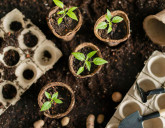 Удачный ЛУННЫЙ ПОСЕВНОЙ КАЛЕНДАРЬ на МАРТ 2026 года