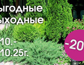 ВЫГОДНЫЕ ВЫХОДНЫЕ 3 - 5 ОКТЯБРЯ В НАШИХ САДОВЫХ ЦЕНТРАХ!