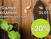 НОВОГОДНИЕ ВЫГОДНЫЕ ВЫХОДНЫЕ С 3 ПО 5 ЯНВАРЯ