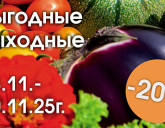 ЧЕРНАЯ ПЯТНИЦА! НА ВСЕ СЕМЕНА СКИДКА 20%
