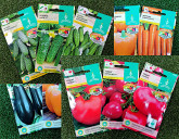 НОВИНКИ В НАШИХ МАГАЗИНАХ!