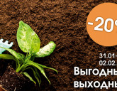 ВЫГОДНЫЕ ВЫХОДНЫЕ С 31 ЯНВАРЯ ПО 2 ФЕВРАЛЯ