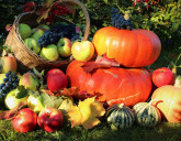 Удачный ЛУННЫЙ ПОСЕВНОЙ КАЛЕНДАРЬ на ОКТЯБРЬ 2023 года