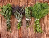 Пряные травы на огороде. Как правильно выбрать что посадить?